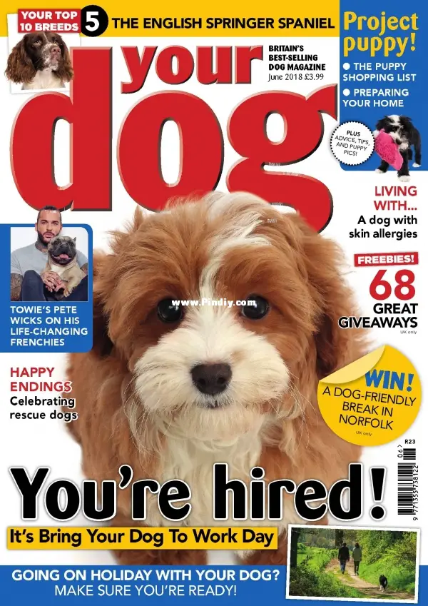 your dog- june 2018.jpg