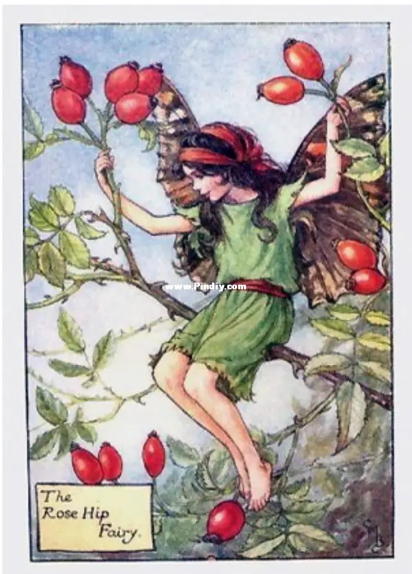 tilton crafts - the rose hip fairy - flower fairy