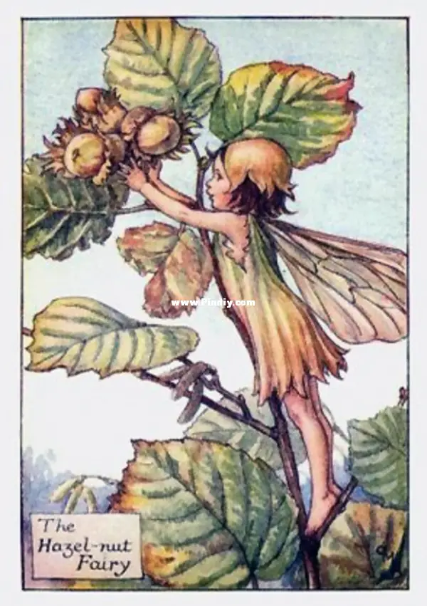 tilton crafts hazelnut fairy (flower fairy collection)