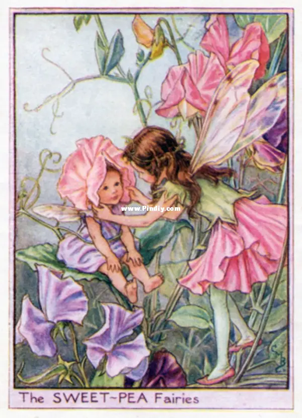 sweetpea fairies (flower fairy collection) tilton