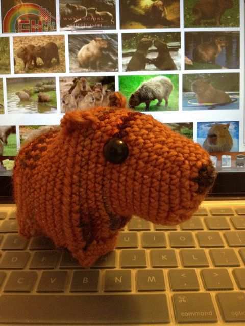 Капибара крючком описание. Capybara Amigurumi. Капибара игрушка вязаная. Вязанная игрушка какибара. Вязание крючком капибара.