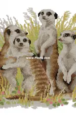 Riolis 1761 Meerkats XSD
