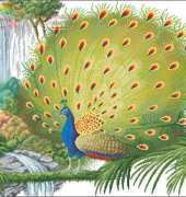 DMC 0227PH-01 Peacock
