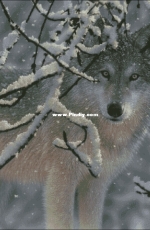Wolf winter by Ivolga XSD