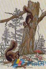 Eva Rosenstand 12-675 - Squirrels