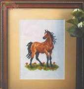 Horse (Orchidea)