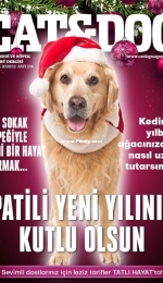 Cat and Dog - Aralik 2020/12 - Turkish