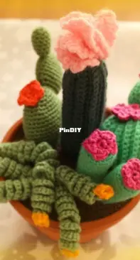 Composition of cacti