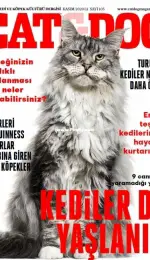 Cat and Dog - Kasım 2020/11 - Turkish