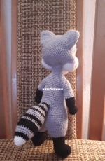 Raccoon
