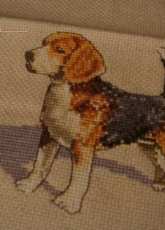 This is a Beagle stitched for my son