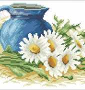 Chrysanthemum