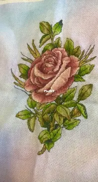 My cross stitch rose