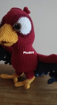 IlDikko - Ildikó Strüning - Chili the Parrot