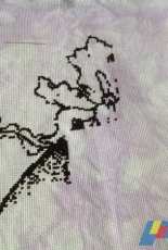 Haed dreams of iris