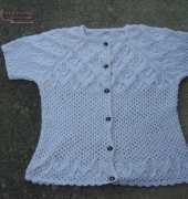 reglan lace short sleeve sweater