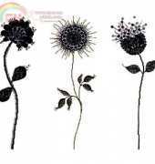 Three Flowers in Blacklace (DMC)