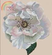 DMC BK004 Vine Rose