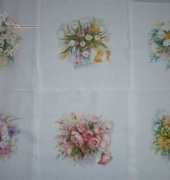 My pictures