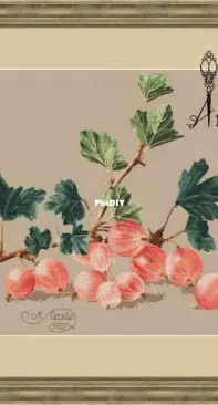 Ameli Stitch - Pink Gooseberry by Anna Smith / Kuznetsova
