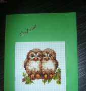 owls