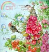 HAE TTF1942 Bird SongHAED HAETTF 1942 Bird Song by Tatiana Fedorova XSD