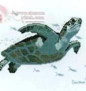 Couchman Creations CC014 Green Sea Turtle