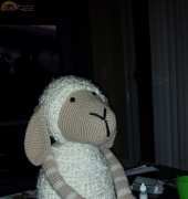 Just finished Suusje the Sheep