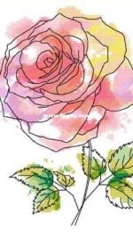 CORICAMO  8704 Wonderful rose XSD
