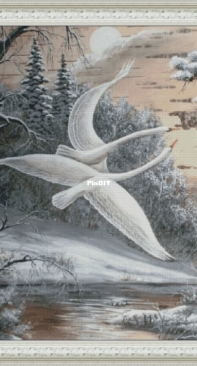 Swans flew over the earth by Irina Sumarokova