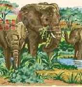 Anchor PCE918XS Elephants in the Wild