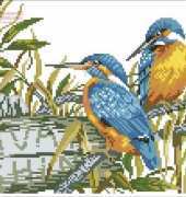 Eva Rosenstand 14.147 Kingfishers