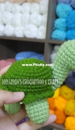 Little turtle