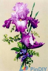The Silver Lining SL088 Purple Perfection