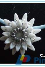 Water lily white