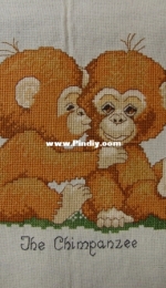 2 little chimps