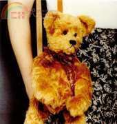Benson Bears-Teddy Bear Bag