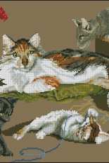 Sporting Masters, Ltd Nº 5 - The Barnyard Families - Purr-Breds