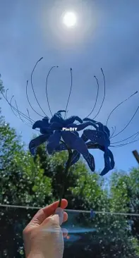 KrocheteraHandmade - Rose Ann Ramos - Blue Spider Lily