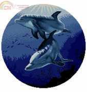 RTO R121 Dolphins