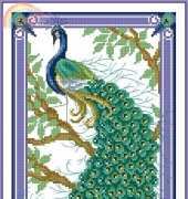 Peacock Set by Joan Elliott from Cross Stitch Crazy 200