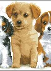 Vervaco 31.512 Puppies pcs