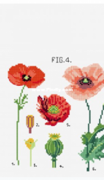 DMC - Botanical Poppies - Free