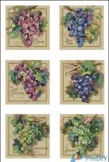 Janlynn 023-039 - Grape Coasters