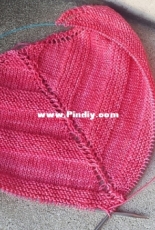Pink shawl