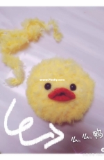 The yellow duck