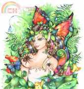HAED HAELB 17 Untouchable Linda BIGGS