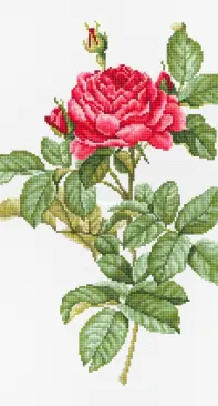 LucaS - Red Rose 2021 - Free