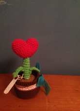HEART PLANT