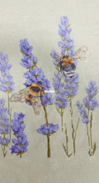 bumblebees in lavender